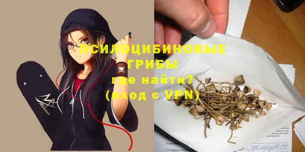 mix Алексин